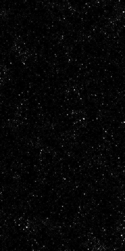 quadraceptictalons nude