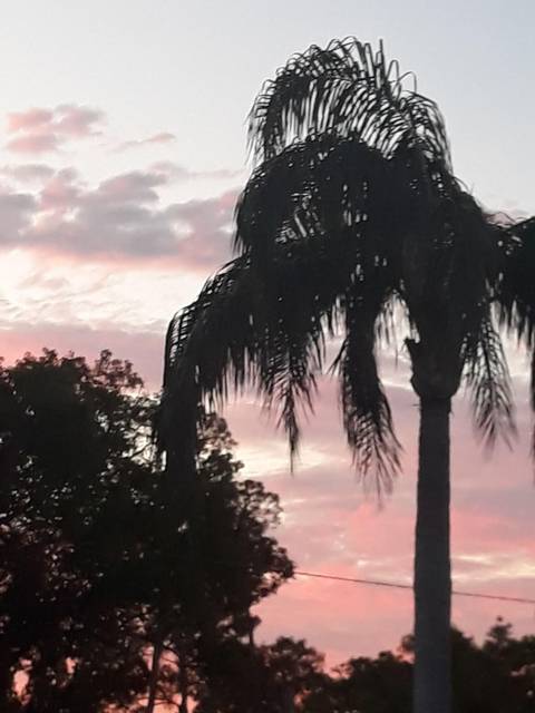 justalilspicy6969 nude