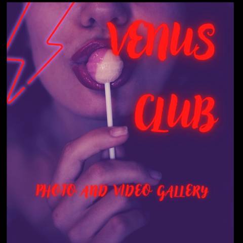 venus_club