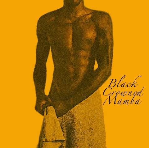 blackcrownedmamba