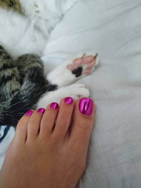 @cutepaws123