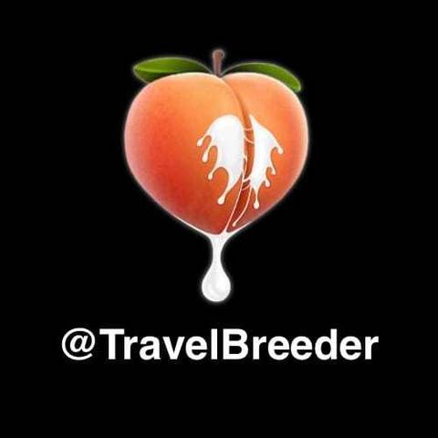 @travelbreeder