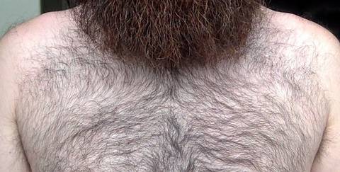 beard_doe nude