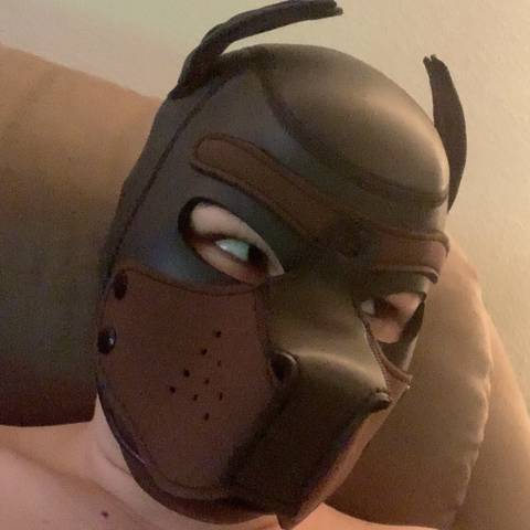 @ftmpuppyboy