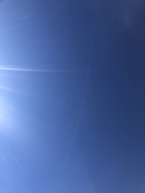 rick_the_artist nude