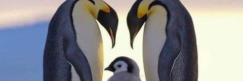 Marcelo - marsougomess OnlyFans