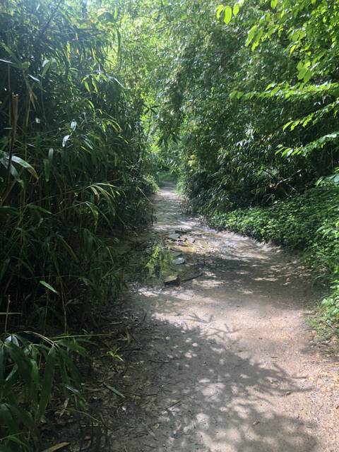 adreyska.leyybunny nude