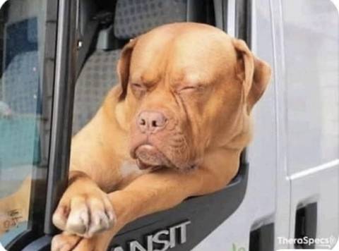 @caine.the.sagittarian