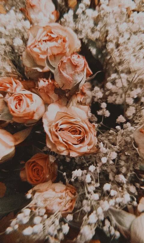 sensualdragonfly nude