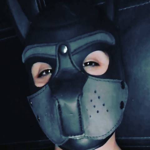 @follow.my.bloodstream