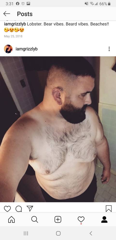 @bearthehusband