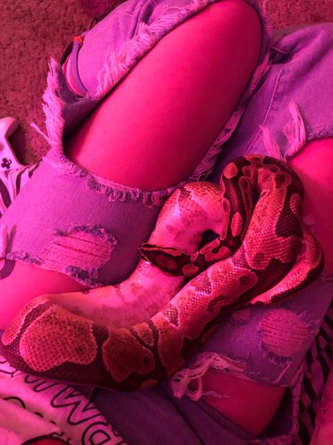 strawberrypython nude