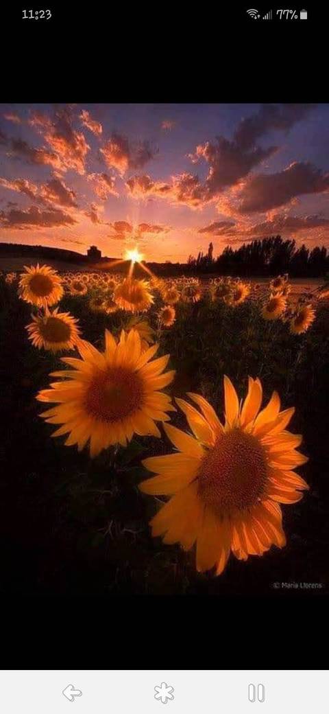 over.there.andstuff nude