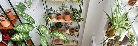 Hooneyydeww - hooneyydeww OnlyFans