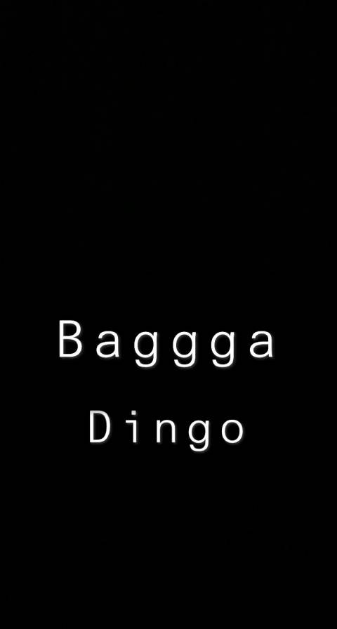 @baggadingo