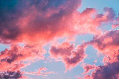 heavenlypup