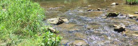 Alice - alice_sparkles OnlyFans