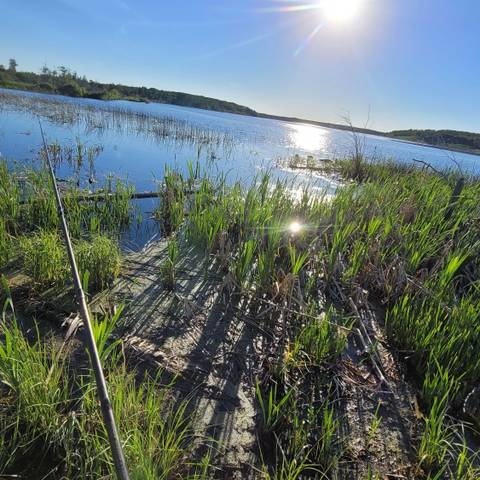 bigred_northclaw nude