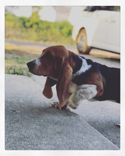 sweetsouthernbbw85 nude