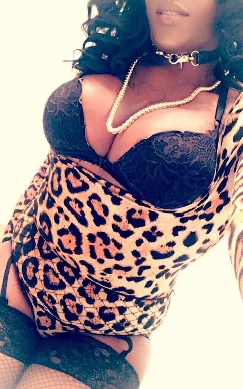 @tscococurvy