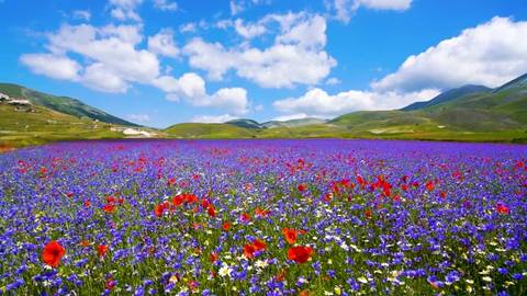 Myla_Angel - myla_angel OnlyFans