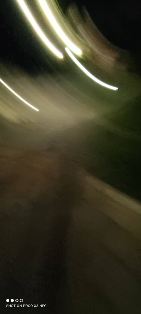 furrybearsecret nude