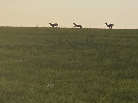 hillbillyphil01 nude