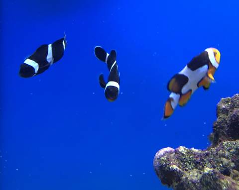 gardeningafterdark nude