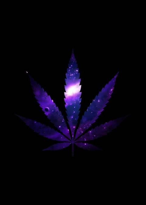 La tóxica - u148753583 OnlyFans