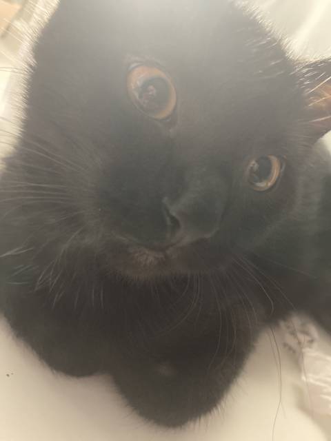 selenenight2002 nude