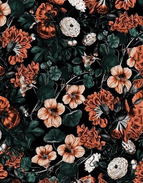 kennaslilsecret nude