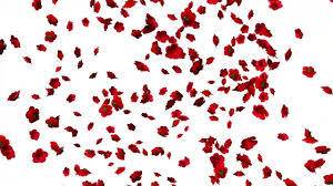 Annalise Oddete - annaliseoddete OnlyFans