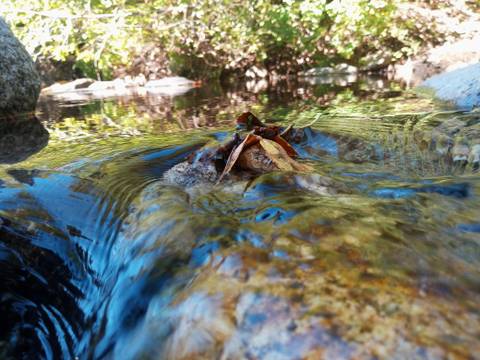 brycelamannadecker nude