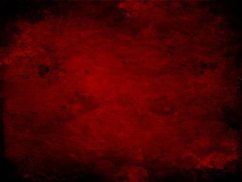 lee.sn1