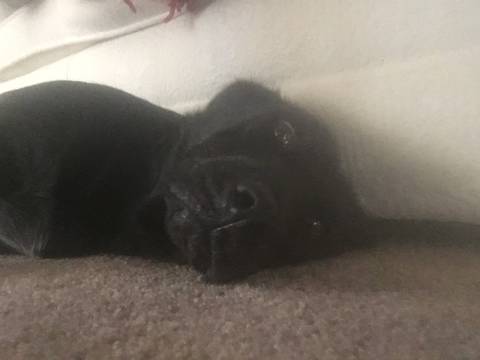 a.m.b.e.r.amber nude