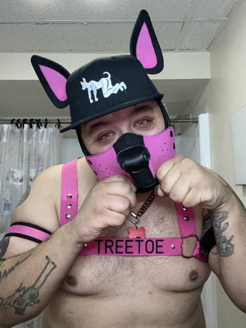 pup_treetoe