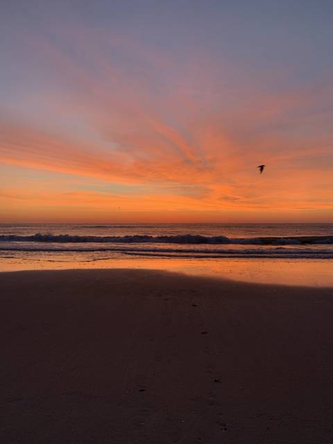 malemodelfitness nude