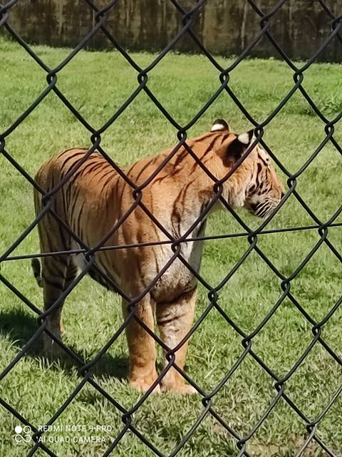 durosexofuerte-machos nude