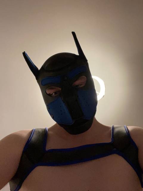 @pupchaos98x