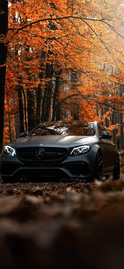 alexiabrunetasexy nude