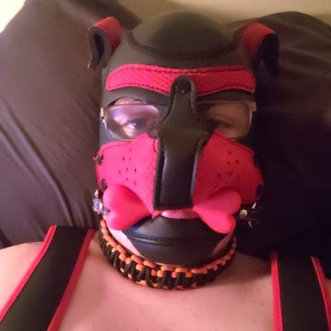 @pupnamedrufus