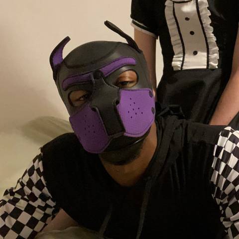 @pupcitrus