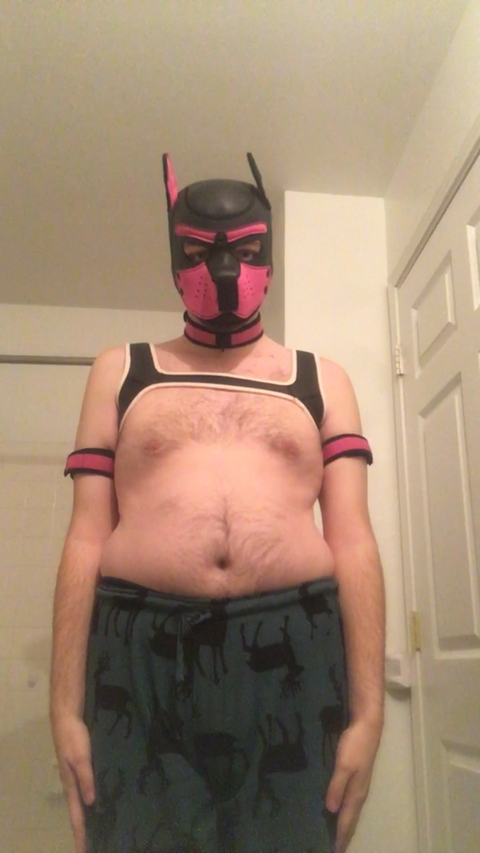 @pupcobaltxxx