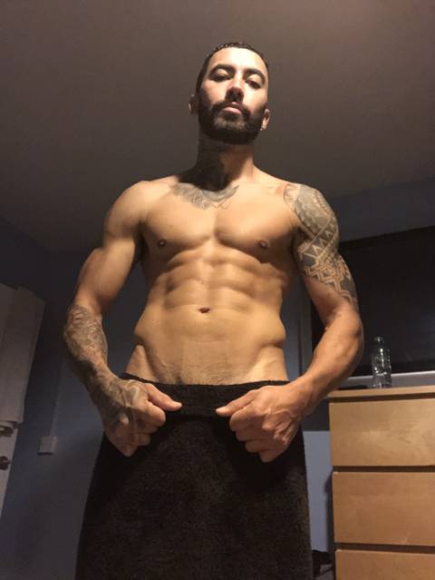 handsome_dann_teasing