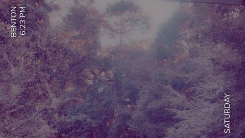 Shae Baby - graceful_bean OnlyFans