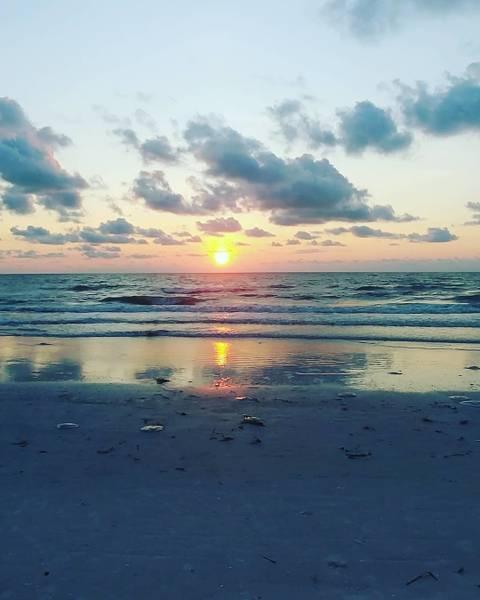 sarahbeesarahbee nude