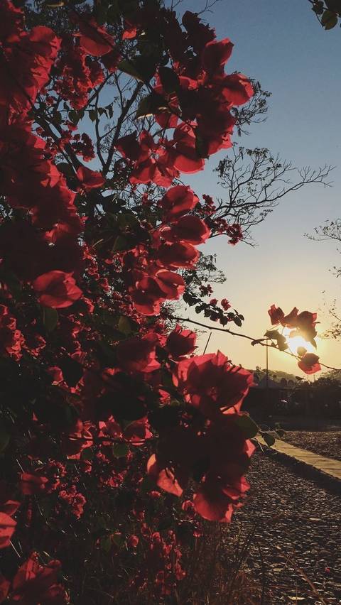 alexislovesyouuu nude