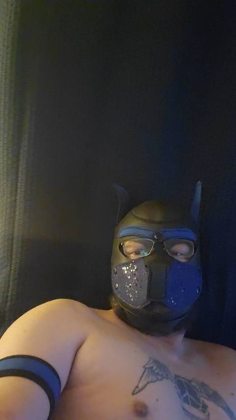 pup_augie nude