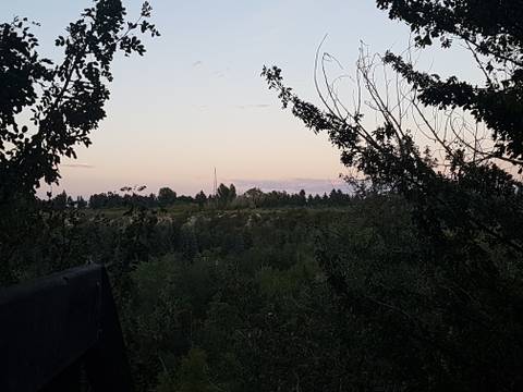 redrabbitdashed nude