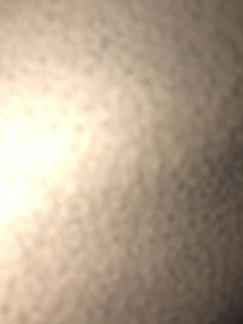 alafornia nude